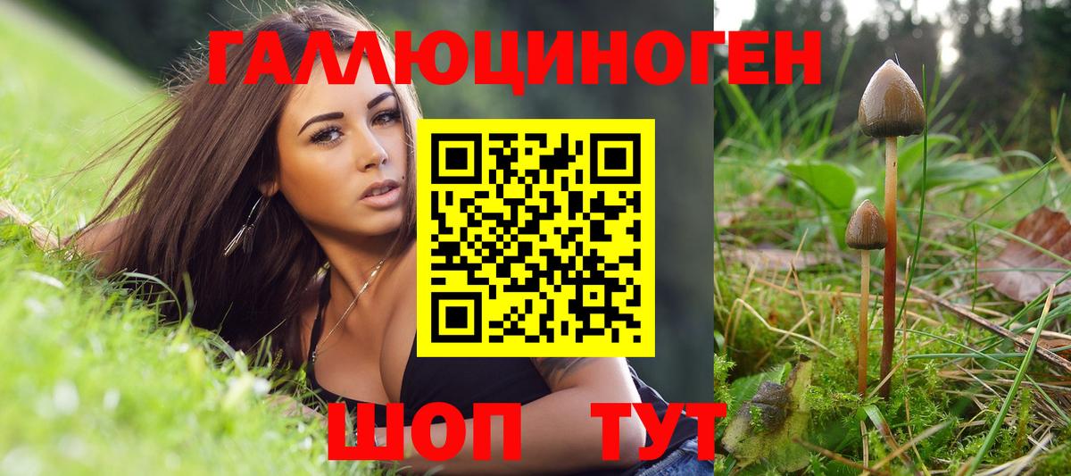 Касимов  Псилоцибиновые грибы мицелий  Вход с VPN 